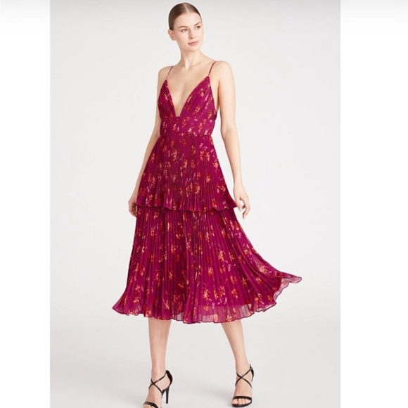 AMUR Dresses & Skirts - Amur Catarina V Neck Pleated Dress 2
